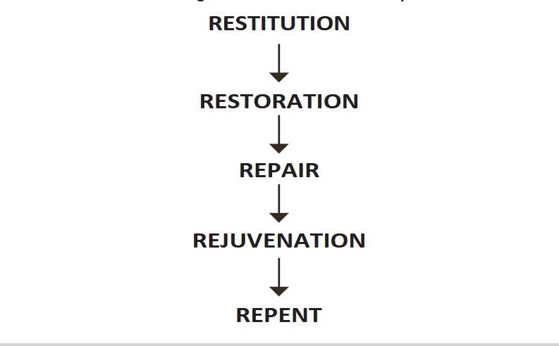 S-VITAL the path to your inner balance