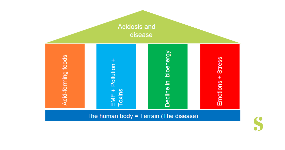 S-ALGUES Body purification